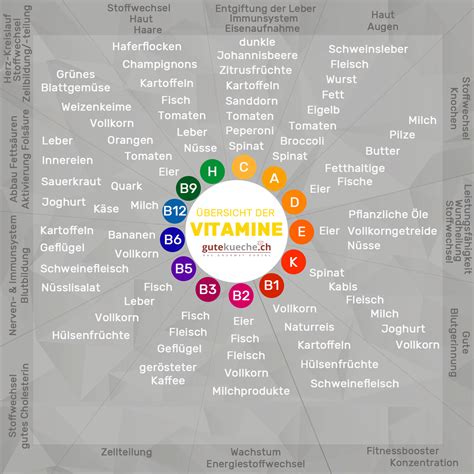 Infografik mit verschiedenen Vitaminen und Mineralstoffen, die für Katzen wichtig sind