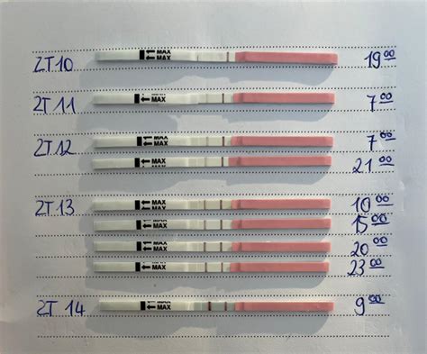 Vergleich von Ovulationstests und Schwangerschaftstests.