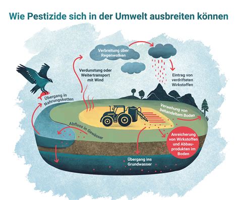 Schema zur Übertragung von Pestiziden von der Landwirtschaft auf Lebensmittel und den Menschen