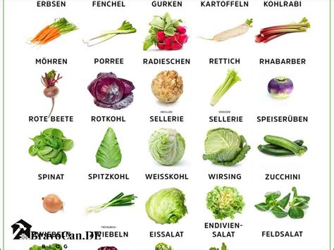 Illustration: Verschiedene Gemüsesorten, die für Babybrei verwendet werden können