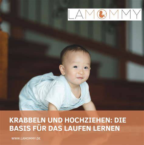 Collage aus Bildern von Babys, die krabbeln, sich hochziehen und erste Schritte machen