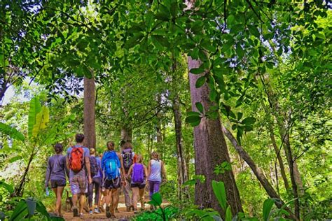 Eine Gruppe von Touristen, die mit einem Guide durch den Dschungel im Khao Yai Nationalpark wandert