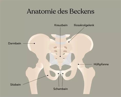 Veranschaulichung des Absinkens des Babykopfes ins Becken (Illustration)