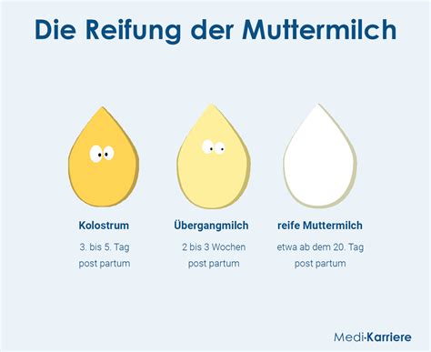 Darstellung von Kolostrum, das dickflüssig und gelblich-orange aussieht.