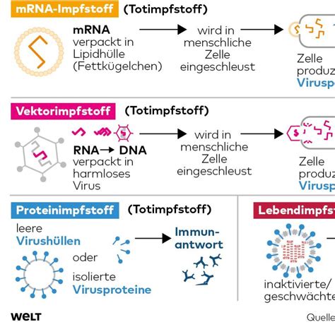 Vergleich: Lebendimpfstoffe vs. Totimpfstoffe