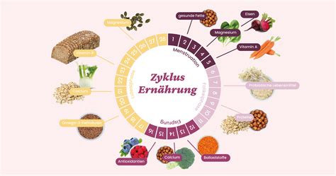 Illustration, die gesunde Lebensgewohnheiten wie Ernährung, Sport und Entspannung im Zusammenhang mit dem Zyklus zeigt