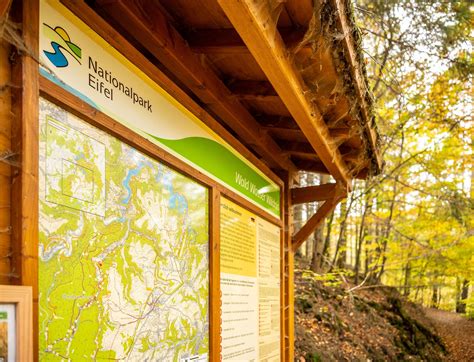 Ein Wanderweg im Nationalpark Eifel mit Informationstafeln
