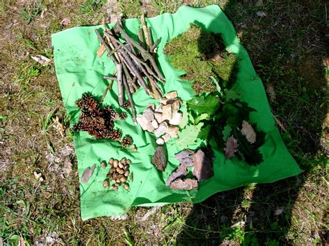 Kinder spielen auf einem Naturerlebnispfad im Wald