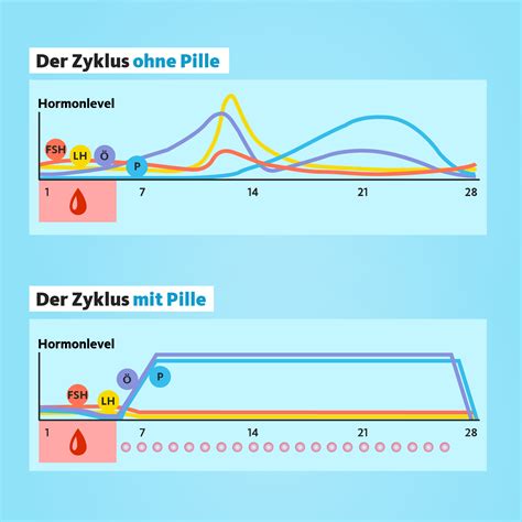 Schema, das die Wirkung der Pille danach auf den Eisprung und den Hormonzyklus darstellt.