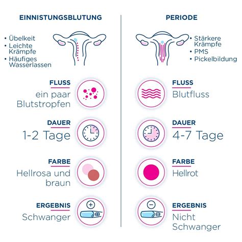 Infografik, die verschiedene Ursachen für Blutungen in der Frühschwangerschaft darstellt
