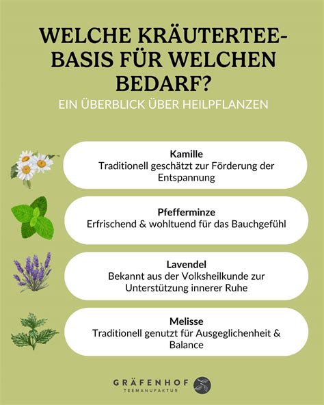 Übersicht über verschiedene Heilpflanzen zur Förderung der Fruchtbarkeit