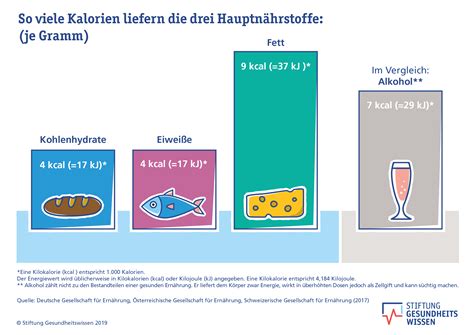 Grafik, die die wichtigsten Nährstoffe für Kleinkinder ab 12 Monaten und ihre Funktionen zeigt (Immunsystem, Wachstum, Knochenentwicklung)