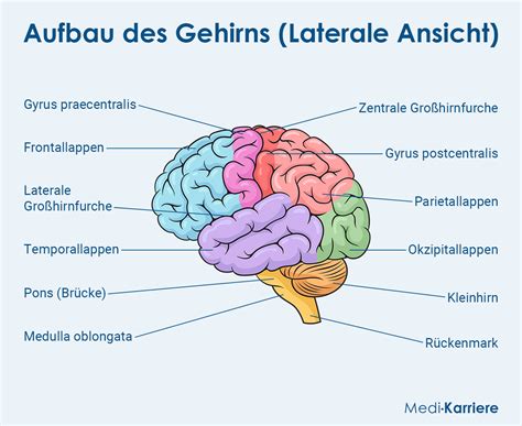 Schema: Aufbau des Kreißsaals mit integriertem OP und den verschiedenen Geburtsbereichen.