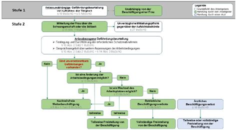 Schema, das die verschiedenen Phasen der Gefährdungsbeurteilung im Mutterschutz darstellt.