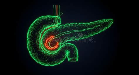Illustration des Easypisi-Töpfchens mit hervorgehobenem Spritzschutz.