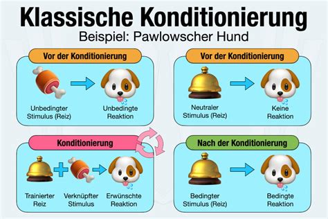 Infografik, die die drei Paradigmen (klassische Konditionierung, Habituierung, Expositionslernen) zur Untersuchung fetaler Erinnerungen vergleicht