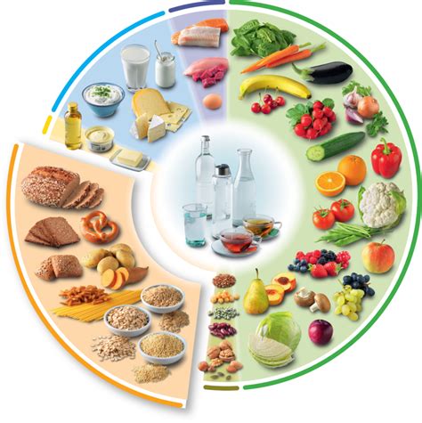 Illustration eines ausgewogenen Beikosttellers mit Gemüse, Kartoffeln, Getreide und Obst.