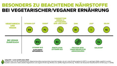 Infografik, die die wichtigsten kritischen Nährstoffe in der veganen Kinderernährung und ihre Quellen aufzeigt.