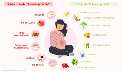 Infografik: Hormonelle Veränderungen während der Schwangerschaft und der Einfluss der Schilddrüse