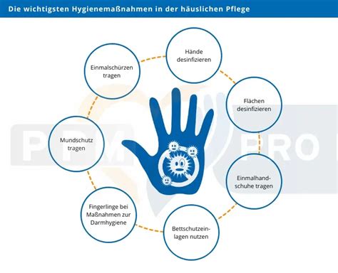 Infografik mit den wichtigsten Hygienemaßnahmen zur Vermeidung einer CMV-Infektion.