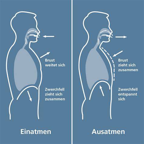 Grafik zur Erklärung des Saugmechanismus an Brust und Flasche zur Vermeidung von Saugverwirrung