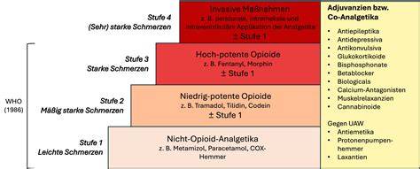 Schema, das die verschiedenen Stufen von Säuglingsnahrung (Pre, 1, 2, 3) und ihre Anwendungsbereiche darstellt