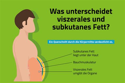 Infografik zur Fettverteilung im Körper und dem Einfluss von Wachstumshormonen