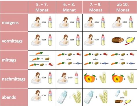 Schema zur Einführung von Beikost mit Gemüse, Kartoffeln und Fleisch