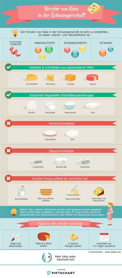 Infografik: Welche Käsesorten sind in der Schwangerschaft erlaubt?