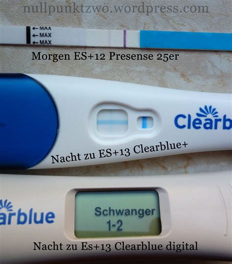 Schema, das den Aufbau eines Schwangerschaftstests mit Testfeld und Kontrollfeld zeigt.