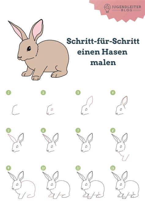 Schritt-für-Schritt-Anleitung zum Zeichnen eines Hasen