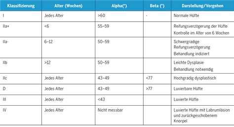 Schema der i-Size-Norm Klassifizierung nach Körpergröße