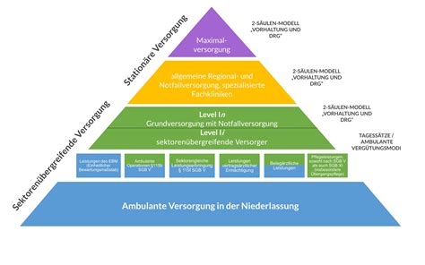 Grafik, die die Stufen der Versorgung im Perinatalzentrum Level 1 zeigt