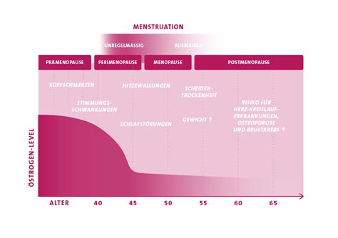 Schema, das die hormonellen Veränderungen während der Wechseljahre und ihre Auswirkungen auf den Verdauungstrakt darstellt.