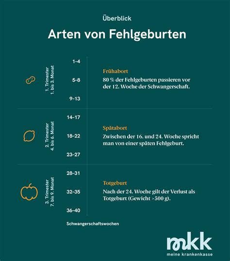 Schema zur Unterscheidung von Fehlgeburt und Totgeburt im bisherigen Recht
