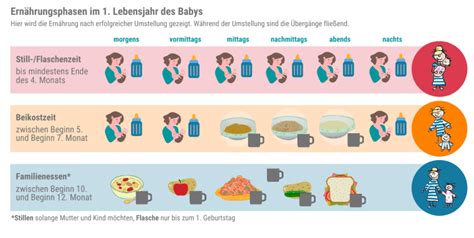 Schema zur Einführung von Babybrei im ersten Lebensjahr