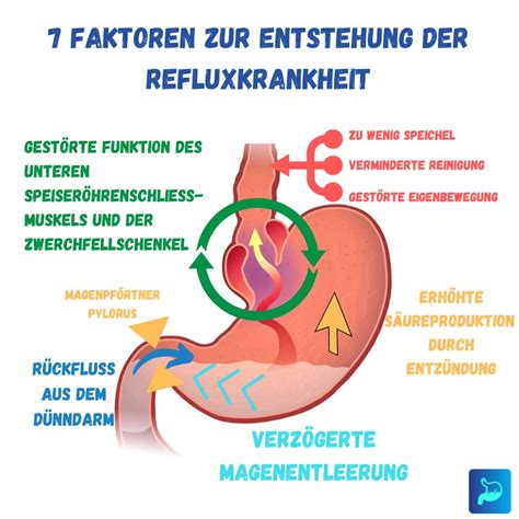 Infografik mit den verschiedenen Symptomen von Reflux bei Säuglingen, unterteilt nach physiologischem Reflux und GERD