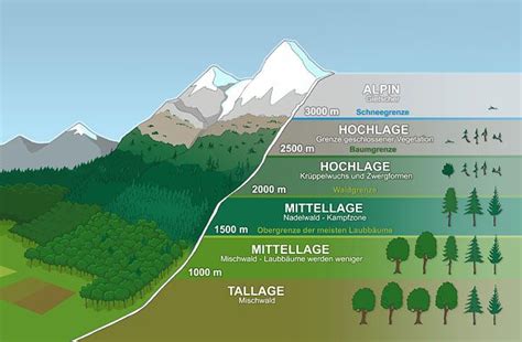 Infografik: Schematische Darstellung der verschiedenen Höhenstufen des Manduca XT Rückenpanels