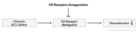 Schema der Wirkungsweise von Protonenpumpenhemmern (PPI) und H2-Rezeptor-Antagonisten im Magen