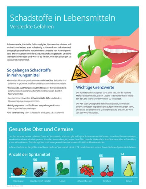 Infografik, die die potenziellen Schadstoffe in Babygläschen und deren Grenzwerte darstellt