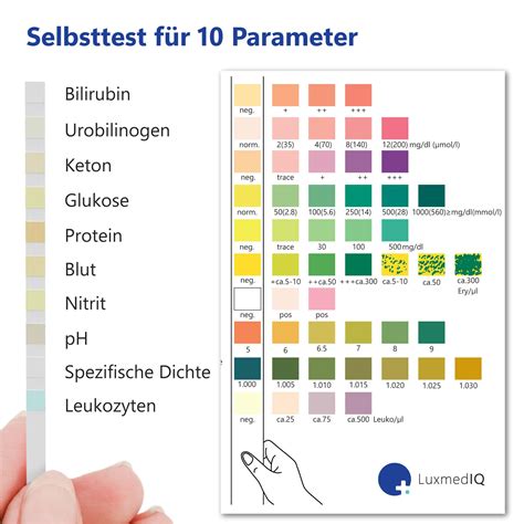 Vergleich von Urin- und Bluttest zur Schwangerschaftsbestimmung.