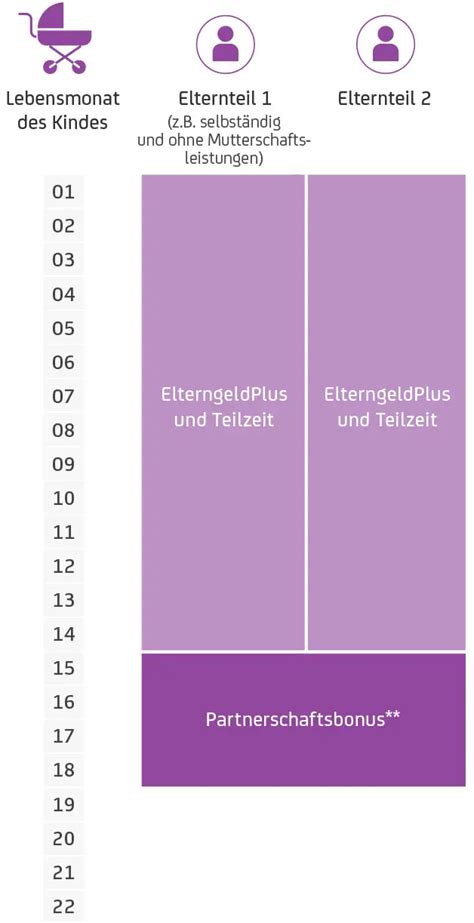 Grafik zur Veranschaulichung der ElterngeldPlus-Berechnung und des Partnerschaftsbonus