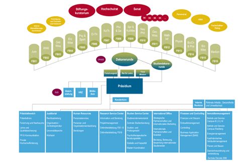 Schema der verschiedenen Fachbereiche und Therapien im Clementine Kinderhospital