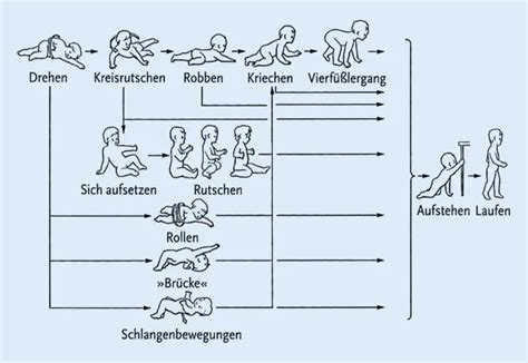 Illustration der verschiedenen motorischen Entwicklungsschritte eines Babys: Krabbeln, Hochziehen, seitliche Schritte, freies Stehen.