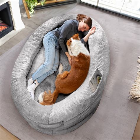 Beispiel für einen sicheren Rückzugsort für Hunde im Haus (Hundebett in einer ruhigen Ecke).