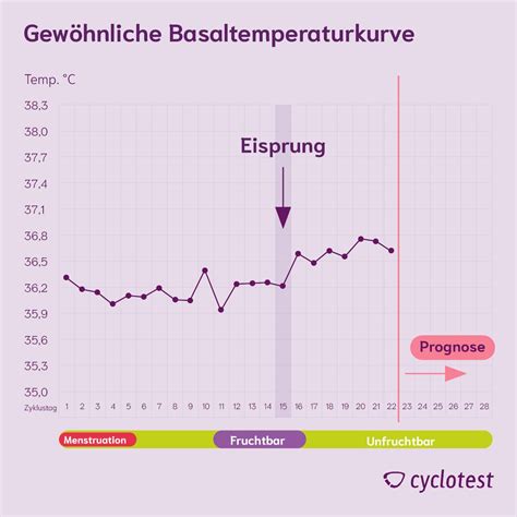 Grafik, die den typischen Verlauf der Basaltemperatur während des Zyklus und nach einer möglichen Einnistung zeigt.