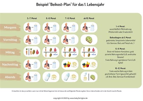 Schema, das die empfohlene Einführung von Beikostzeiten im ersten Lebensjahr zeigt, inklusive Abendbrei.