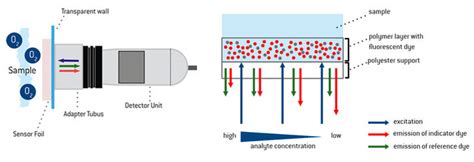 Schematische Darstellung des Inhalationssystems mit Nasenstecker und Sensorfolie