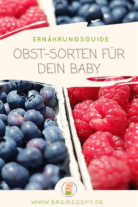 Collage aus verschiedenen Obstsorten, die sich für Babybrei eignen