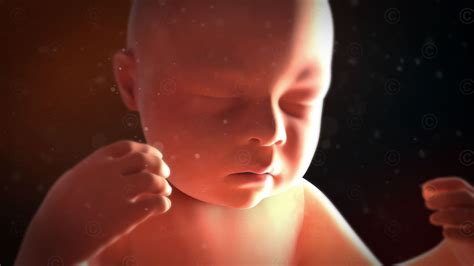 Illustration eines Fötus mit verkniffenem Gesicht im Ultraschall, um die Auswirkung von mütterlichem Rauchen darzustellen